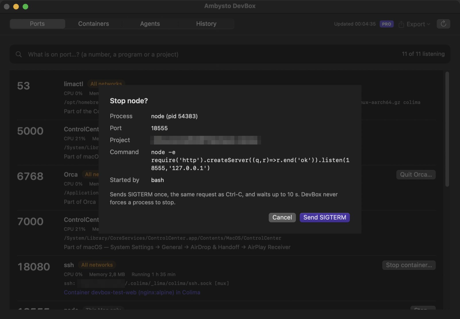 The 'Stop node?' confirmation: process node with its pid, port 18555, the project folder, the full command and 'Started by bash'. It explains that DevBox sends SIGTERM once and waits up to 10 seconds, with Cancel and Send SIGTERM buttons.